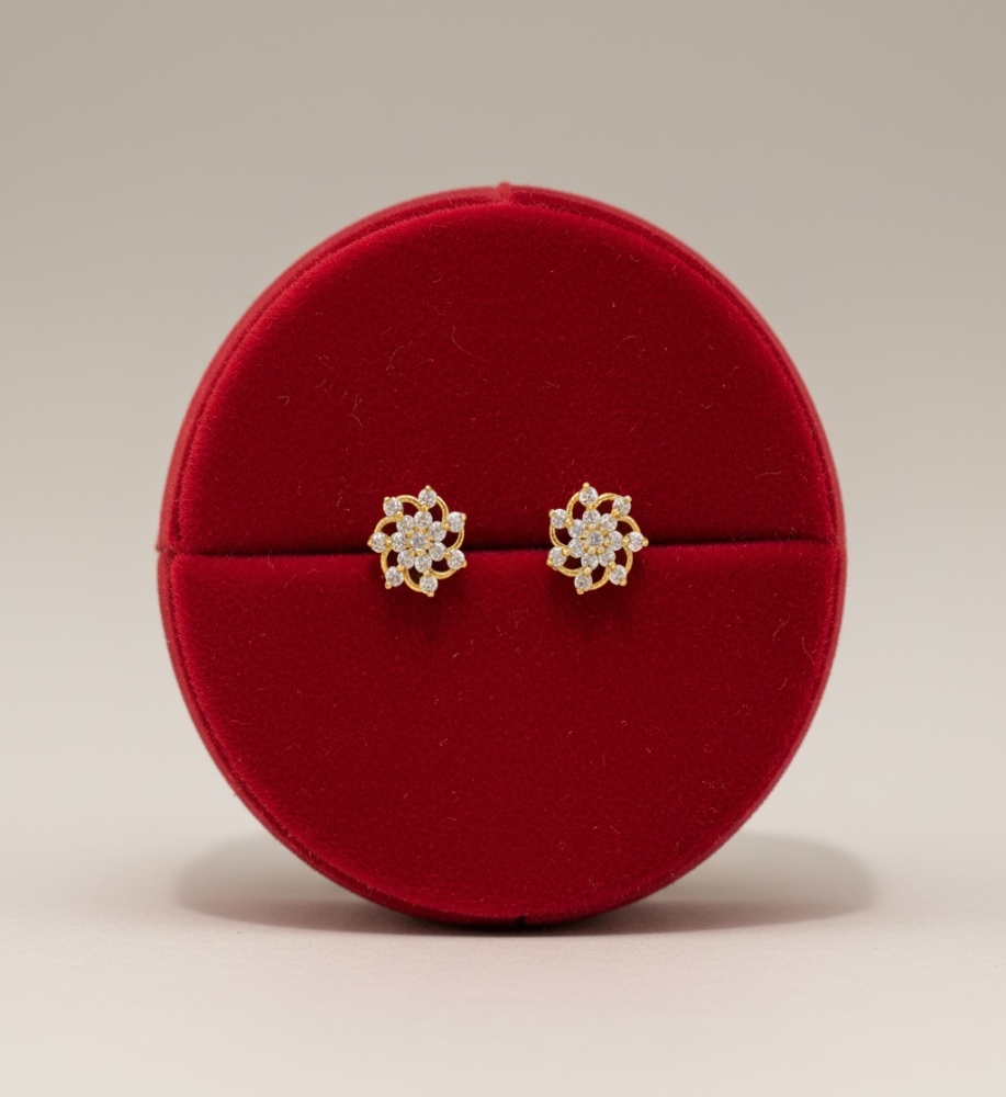Multiuse earrings